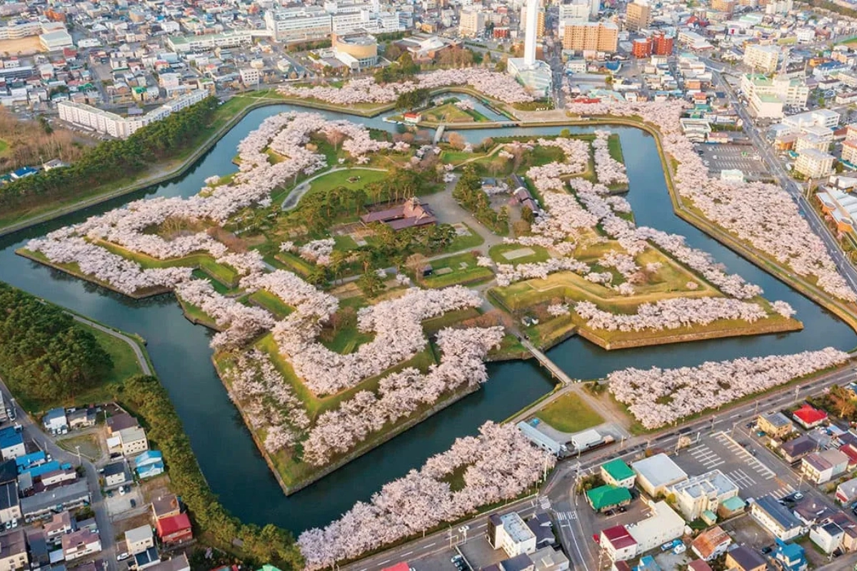日本黃金週北海道行程：欣賞櫻花（五陵郭公園瞭望台）